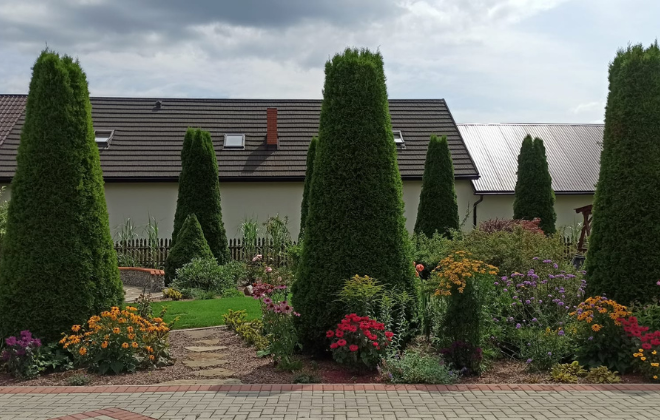Nowoczesny ogród z żywopłotem z tuj i lawendą – projektowanie i zakładanie ogrodów