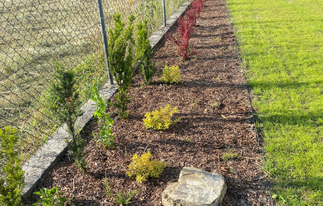 Rabata przy ogrodzeniu z młodymi nasadzeniami ozdobnymi – realizacja firmy ADEK, Lipnica Wielka i okolice